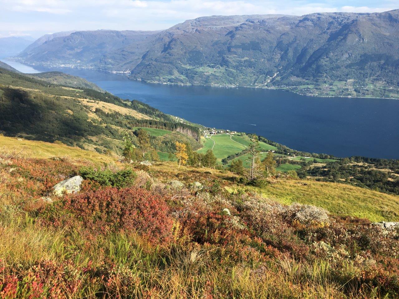 2016 Håvedalen
