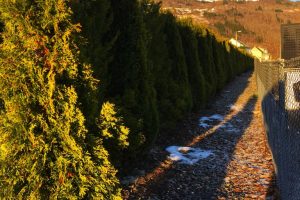 IMG_2846