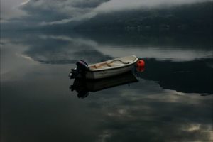 IMG_4241