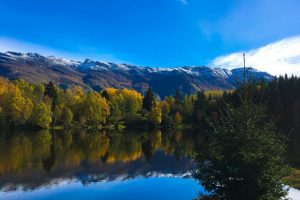 IMG_4782