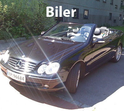 Biler_front