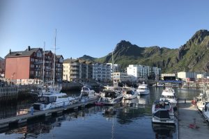 SV_2019_011