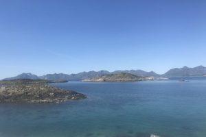 SV_2019_037