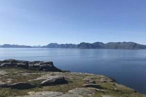 SV_2019_078