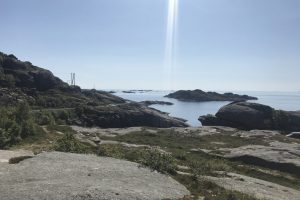 SV_2019_080