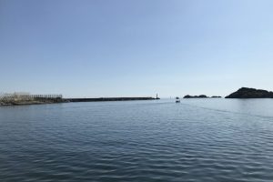 SV_2019_101