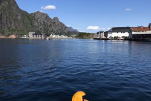 SV_2019_102