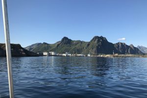 SV_2019_115