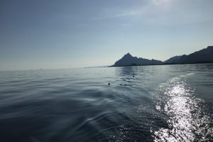 SV_2019_120