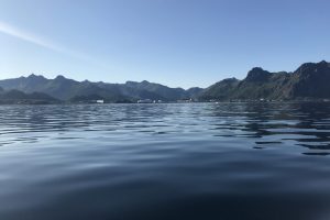 SV_2019_152