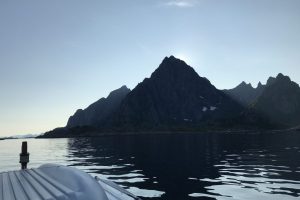 SV_2019_175