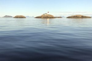SV_2019_245