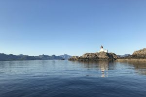 SV_2019_251