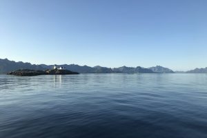 SV_2019_254