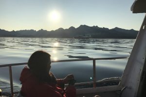 SV_2019_273