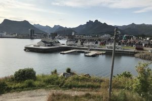 SV_2019_303