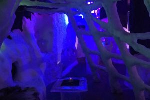 SV_2019_361