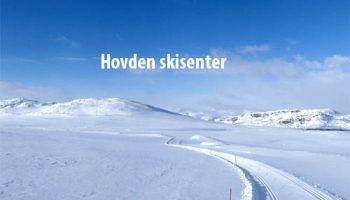 hovdenski